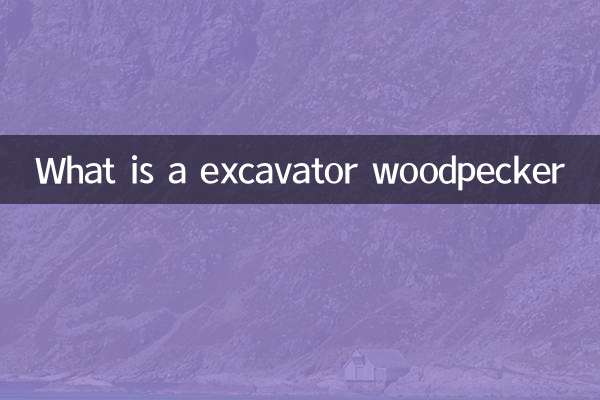 Qu'est-ce qu'un pic d'excavateur