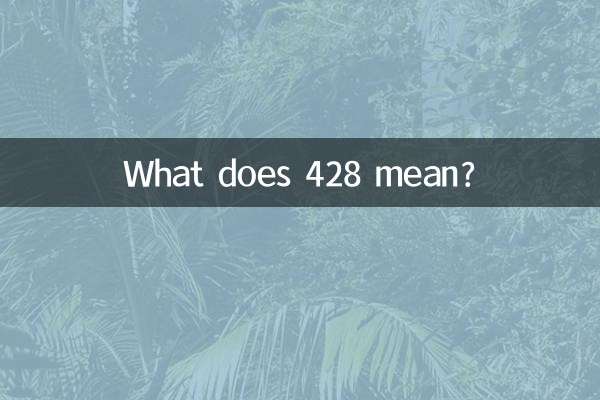 428은 무슨 뜻인가요?