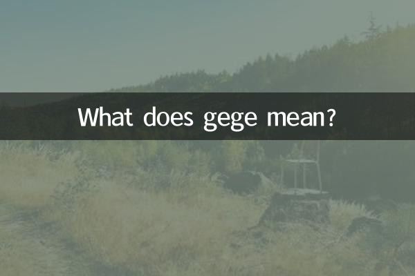 Cosa significa gege?