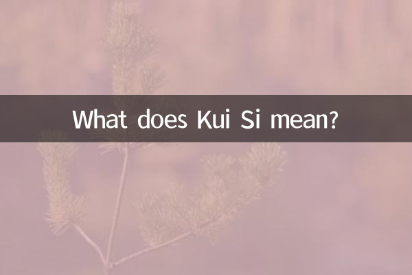 ¿Qué significa Kui Si?