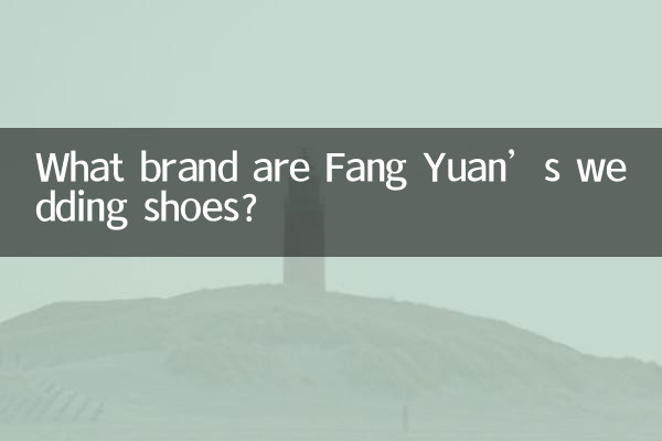 Fang Yuanのウェディングシューズはどこのブランドですか？