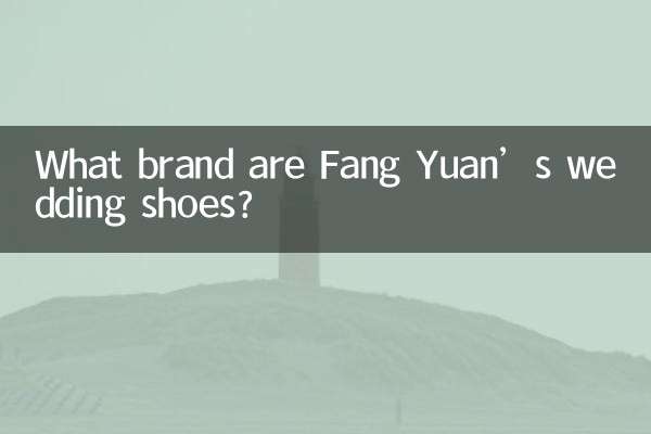 Fang Yuan의 웨딩슈즈는 어떤 브랜드인가요?