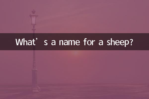 What’s a name for a sheep?