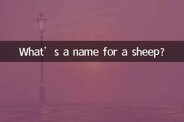What’s a name for a sheep?