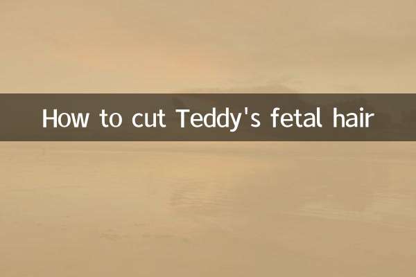 Comment couper les cheveux du fœtus de Teddy