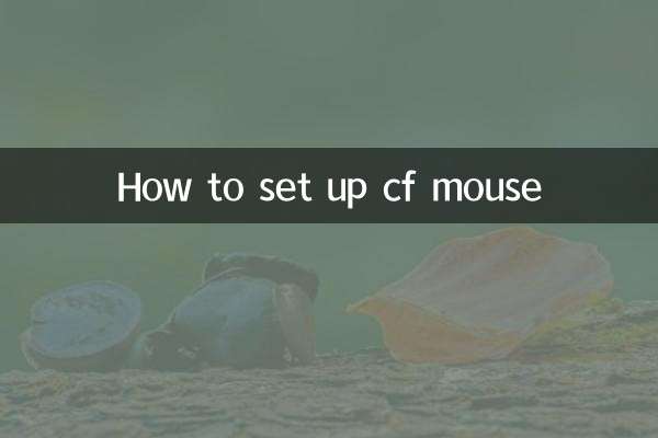 CFマウスの設定方法