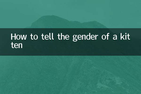 새끼 고양이의 성별을 구별하는 방법