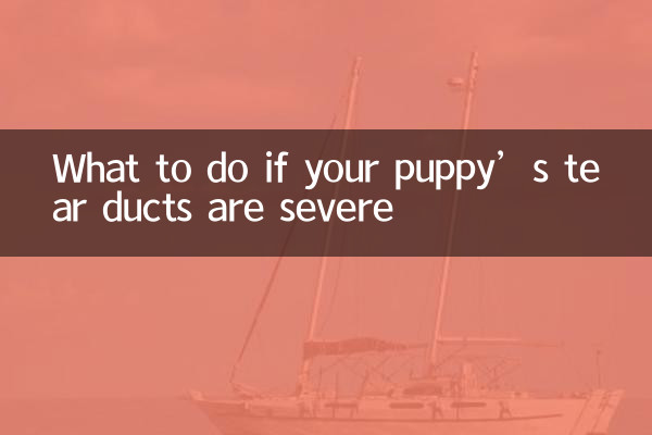 What to do if your puppy’s tear ducts are severe