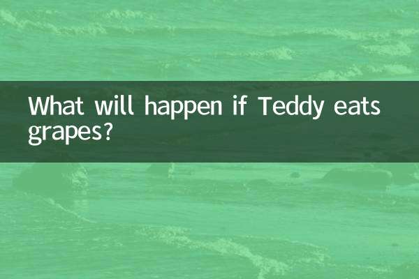 테디가 포도를 먹으면 어떻게 될까요?