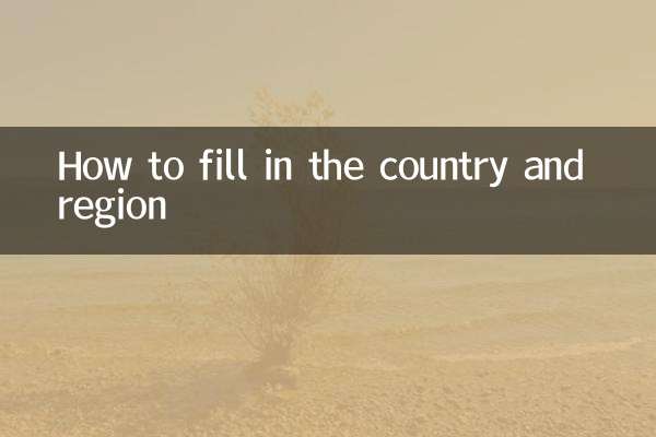 国と地域の記入方法