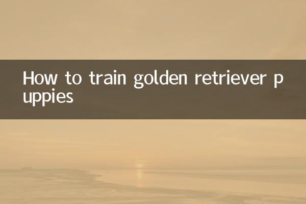 How to train golden retriever puppies