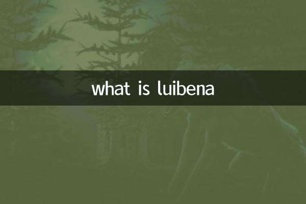 路易白纳是什么