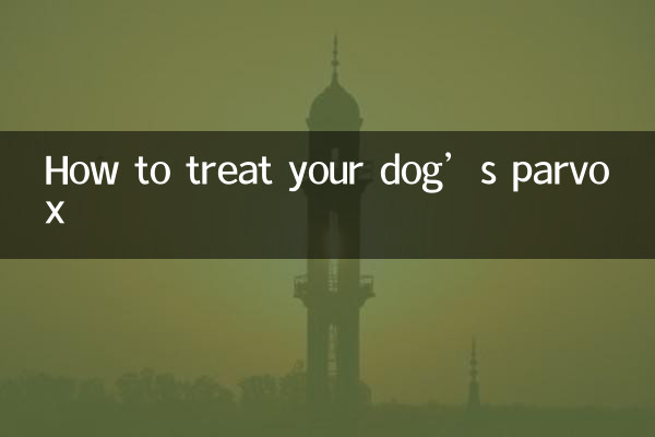 犬のパルボックスの治療方法