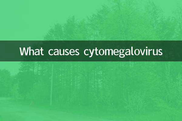 거대세포바이러스의 원인