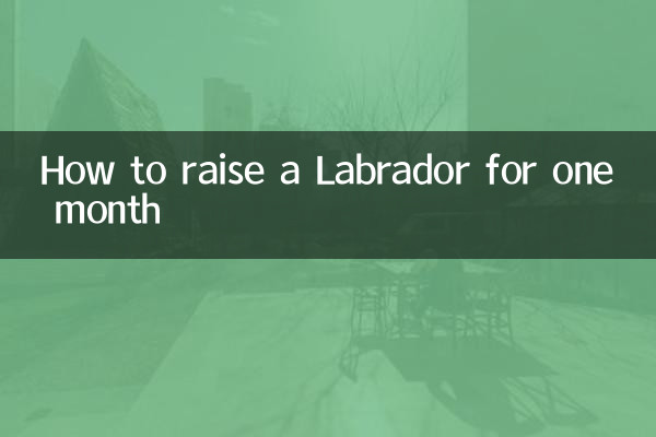 কিভাবে এক মাসের জন্য একটি Labrador বাড়াতে