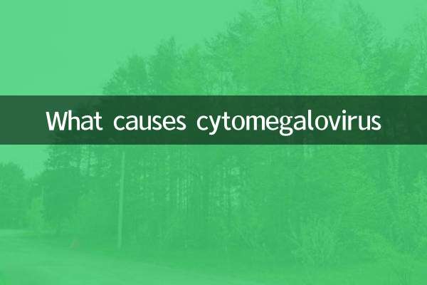 거대세포바이러스의 원인