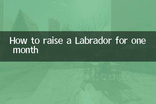 কিভাবে এক মাসের জন্য একটি Labrador বাড়াতে