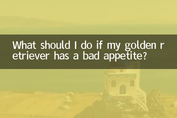 Was soll ich tun, wenn mein Golden Retriever schlechten Appetit hat?