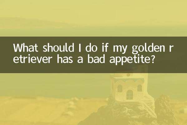 金毛胃口不好怎么办