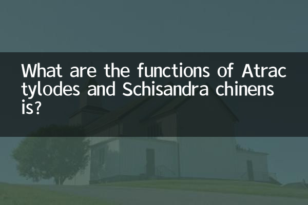 Atractylodes এবং Schisandra chinensis এর কাজ কি কি?