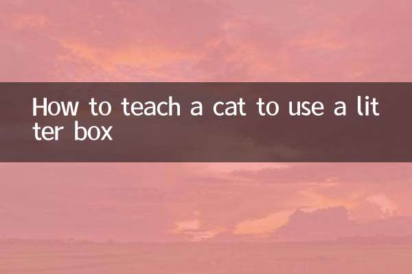 怎麼教用貓砂盆