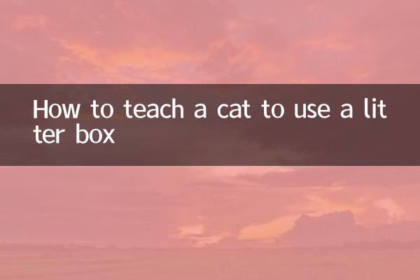 怎麼教用貓砂盆