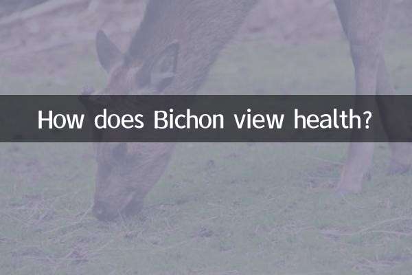 比熊怎么看健康