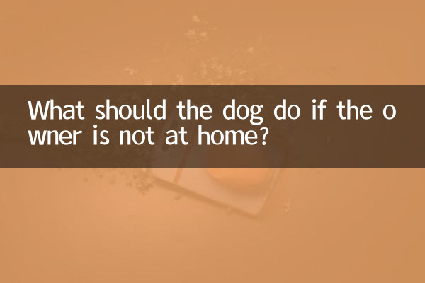 اگر مالک گھر پر نہیں ہے تو کتے کو کیا کرنا چاہئے؟
