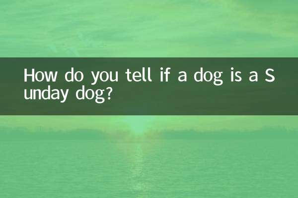 How do you tell if a dog is a Sunday dog?