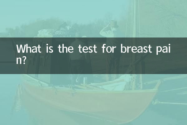 유방 통증 검사는 무엇입니까?