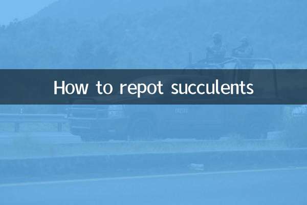 كيفية إعادة زرع العصارة