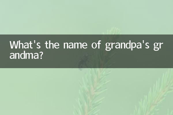 外公的外婆叫什么