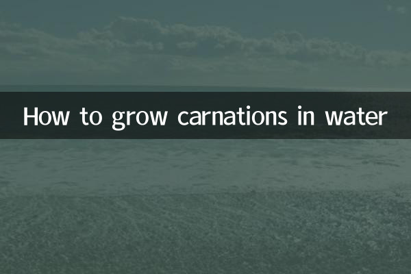 Come coltivare i garofani in acqua