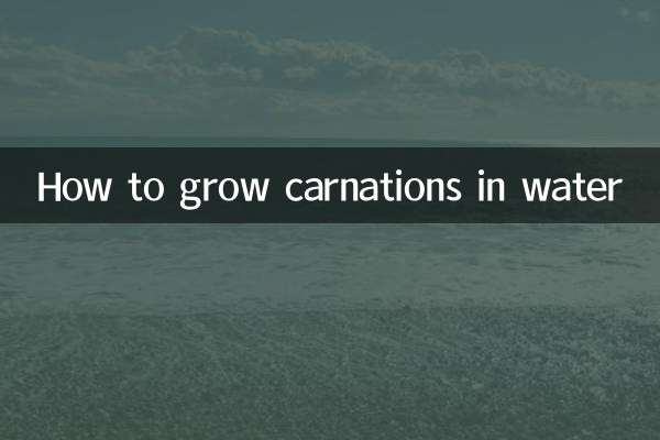 Cómo cultivar claveles en agua.