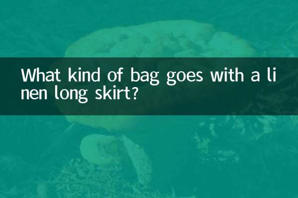 কি ধরনের ব্যাগ একটি লিনেন দীর্ঘ স্কার্ট সঙ্গে যায়?