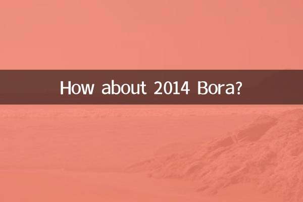¿Qué tal el Bora 2014?