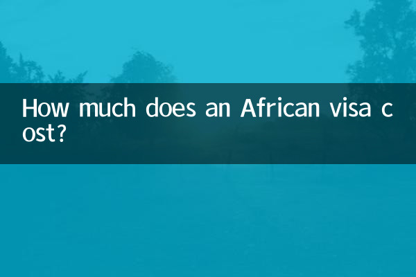 アフリカのビザの費用はいくらですか?