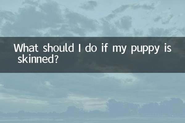 강아지의 피부가 벗겨지면 어떻게 해야 하나요?