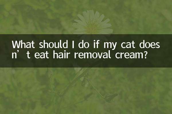 고양이가 제모크림을 먹지 않는다면 어떻게 해야 하나요?