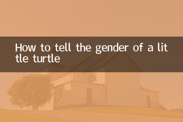 How to tell the gender of a little turtle