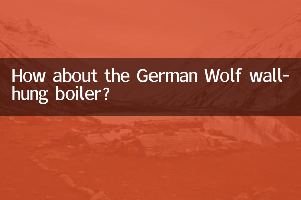 ¿Qué tal la caldera mural German Wolf?