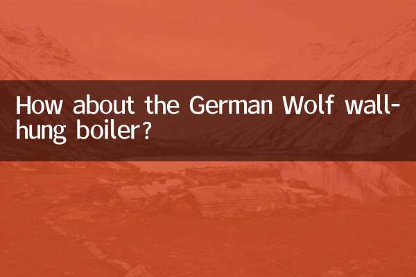 ¿Qué tal la caldera mural German Wolf?