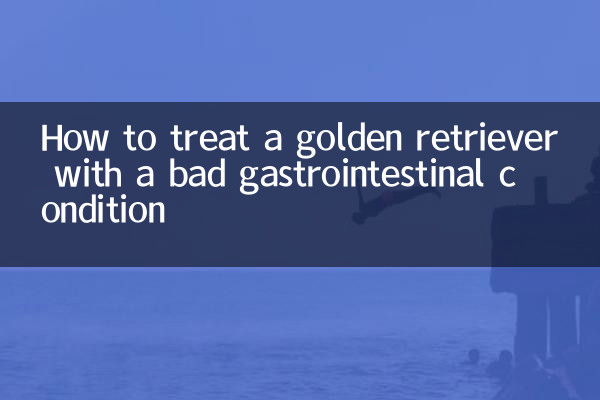 Wie behandelt man einen Golden Retriever mit einer schlimmen Magen-Darm-Erkrankung?