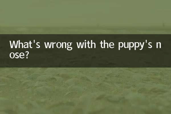 O que há de errado com o nariz do cachorrinho?
