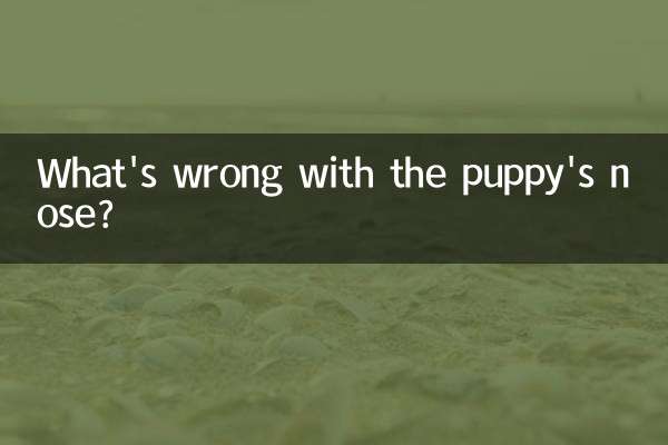 ¿Qué le pasa a la nariz del cachorro?