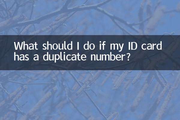 ¿Qué debo hacer si mi DNI tiene un número duplicado?