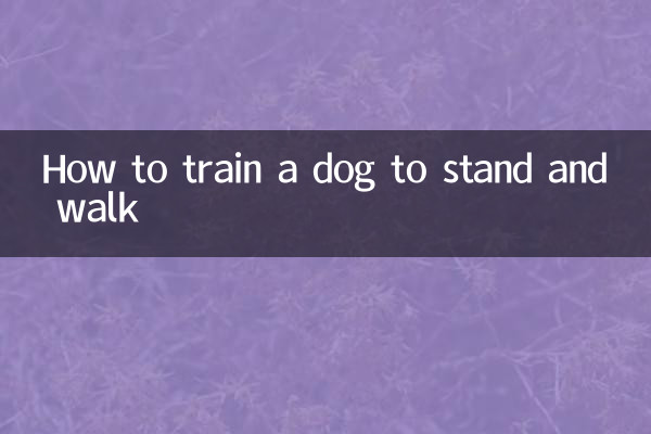 犬に立って歩く訓練方法