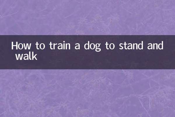 犬に立って歩く訓練方法
