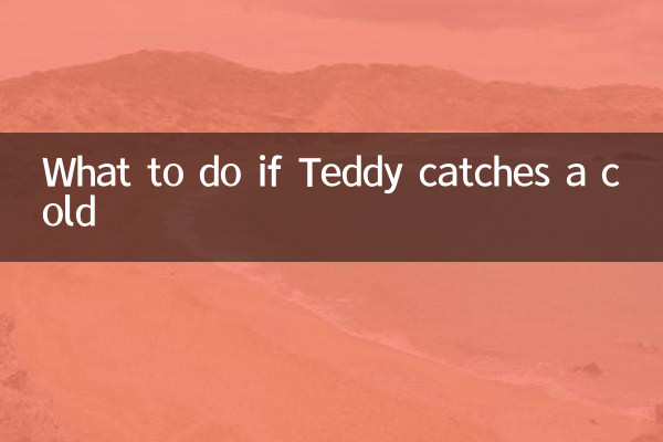টেডি সর্দি ধরা হলে কি করবেন