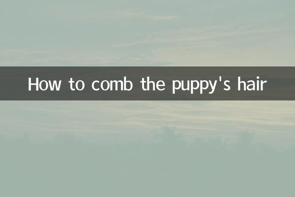 子犬の手入れの仕方